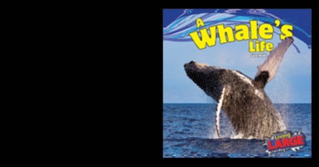 Sara Antill - Whale's Life, E-bok