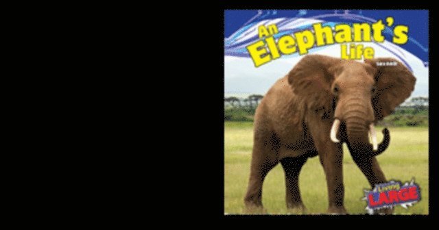 Sara Antill - Elephant's Life, E-bok