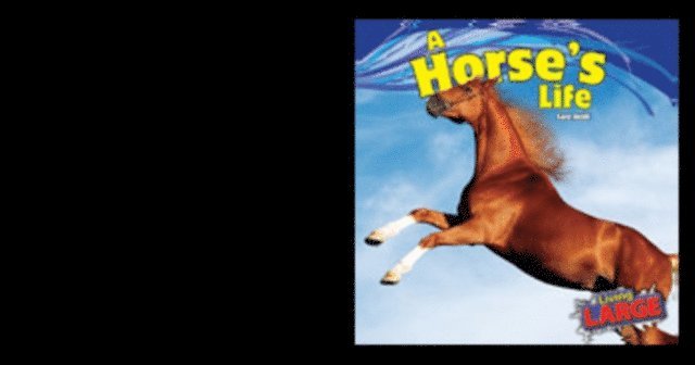 Sara Antill - Horse's Life, E-bok