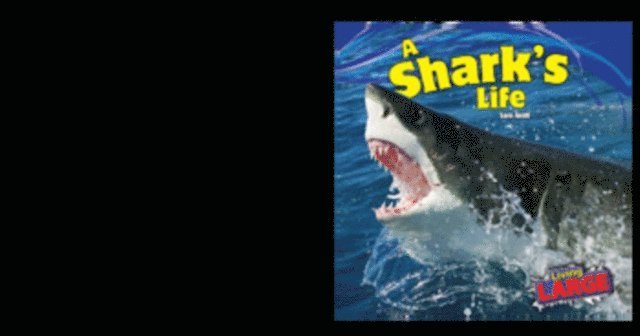 Sara Antill - Shark's Life, E-bok