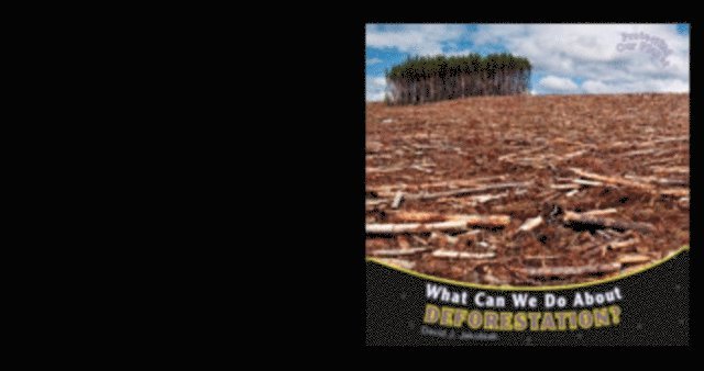David J. Jakubiak - What Can We Do About Deforestation?, E-bok