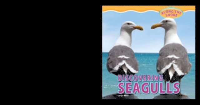 Lorijo Metz - Discovering Seagulls, E-bok