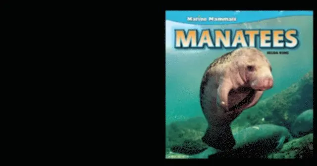 Zelda King - Manatees, E-bok. Tillgänglighet: Lägg i varukorg