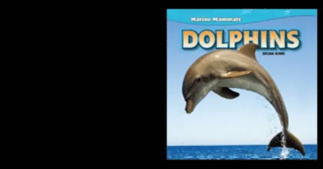 Zelda King - Dolphins, E-bok. Tillgänglighet: Lägg i varukorg