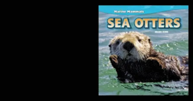 Zelda King - Sea Otters, E-bok. Tillgänglighet: Lägg i varukorg