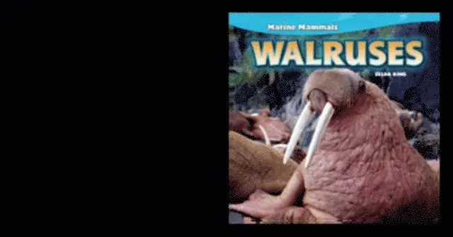 Zelda King - Walruses, E-bok. Tillgänglighet: Lägg i varukorg