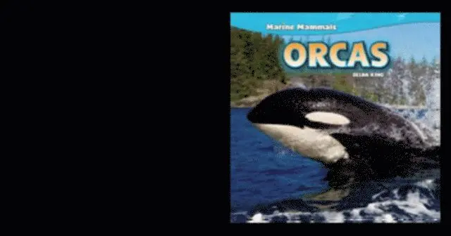 Zelda King - Orcas, E-bok. Tillgänglighet: Lägg i varukorg