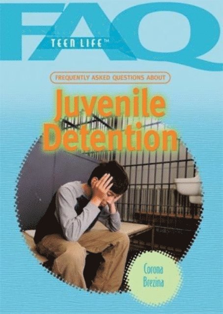 Corona Brezina - Frequently Asked Questions About Juvenile Detention, E-bok