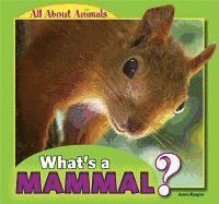 Anna Kaspar - What's a Mammal?, Inbunden. Tillgänglighet: Tillfälligt slut