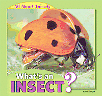 Anna Kaspar - What's an Insect?, Inbunden. Tillgänglighet: Tillfälligt slut