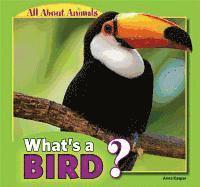 Anna Kaspar - What's a Bird?, Häftad. Tillgänglighet: Lägg i varukorg