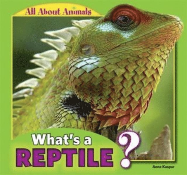 Anna Kaspar - What's a Reptile?, E-bok. Tillgänglighet: Lägg i varukorg
