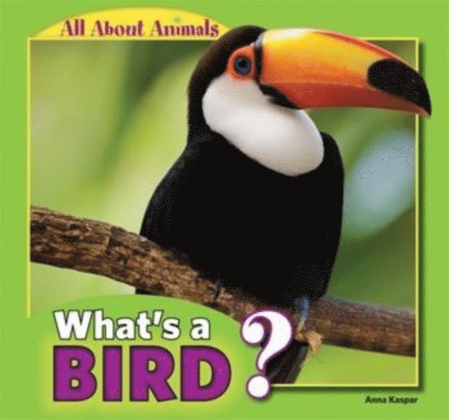 Anna Kaspar - What's a Bird?, E-bok. Tillgänglighet: Lägg i varukorg