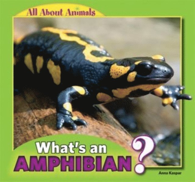 Anna Kaspar - What's an Amphibian?, E-bok. Tillgänglighet: Lägg i varukorg