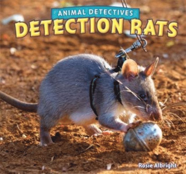 Rosie Albright - Detection Rats, E-bok. Tillgänglighet: Lägg i varukorg