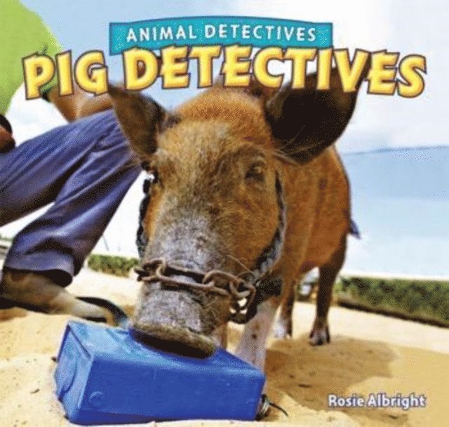 Rosie Albright - Pig Detectives, E-bok. Tillgänglighet: Lägg i varukorg