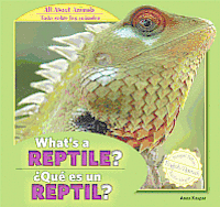 Anna Kaspar - What's a Reptile? / ¿Qué Es Un Reptil?, Inbunden. Tillgänglighet: Tillfälligt slut