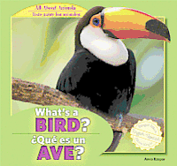 Anna Kaspar - What's a Bird? / ¿Qué Es Un Ave?, Inbunden. Tillgänglighet: Tillfälligt slut
