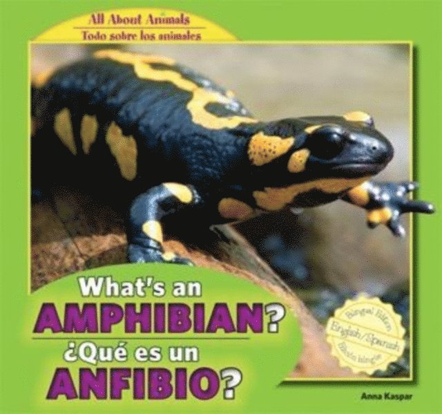 Anna Kaspar - What's an Amphibian? /  Que es un anfibio?, E-bok. Tillgänglighet: Lägg i varukorg