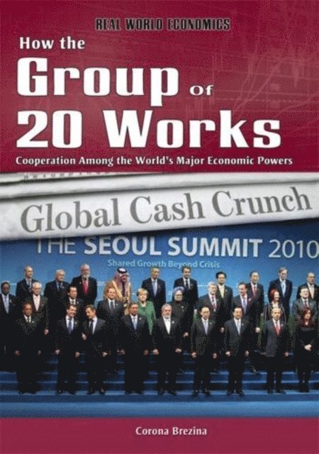 Corona Brezina - How the Group of 20 Works, E-bok