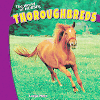 Lorijo Metz - Thoroughbreds, Inbunden