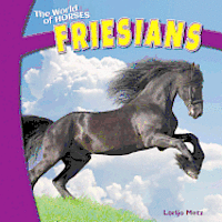 Lorijo Metz - Friesians, Häftad