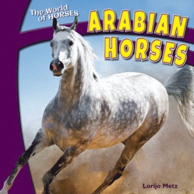 Lorijo Metz - Arabian Horses, E-bok