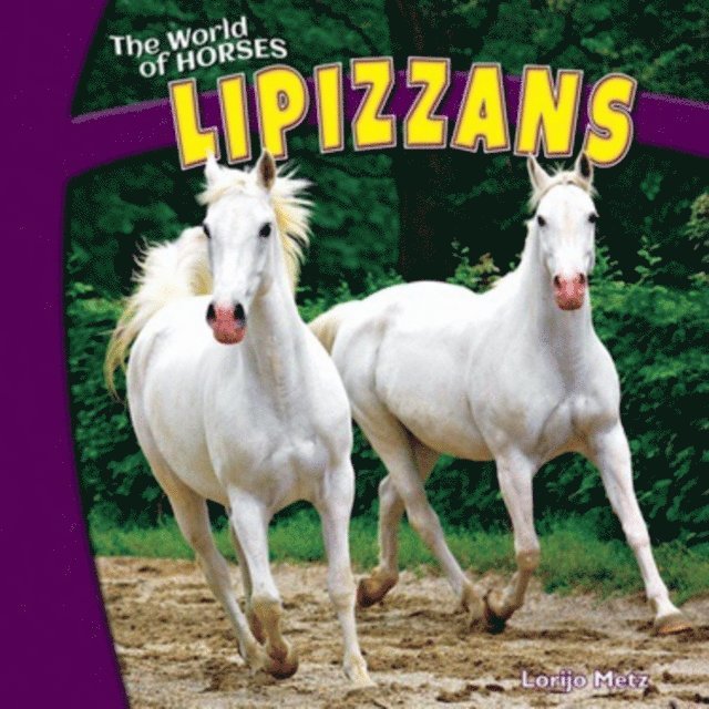 Lorijo Metz - Lipizzans, E-bok