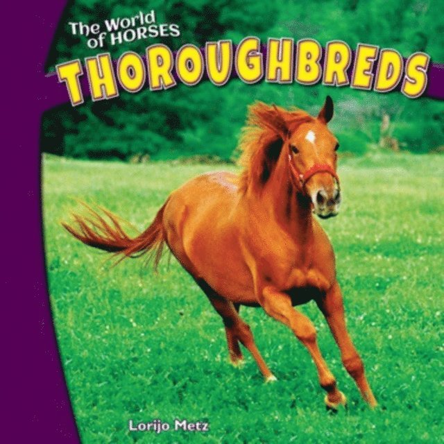 Lorijo Metz - Thoroughbreds, E-bok