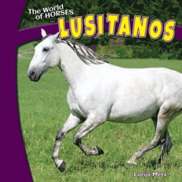 Lorijo Metz - Lusitanos, E-bok