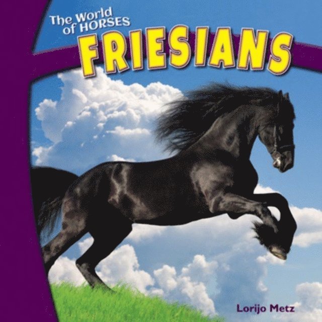 Lorijo Metz - Friesians, E-bok