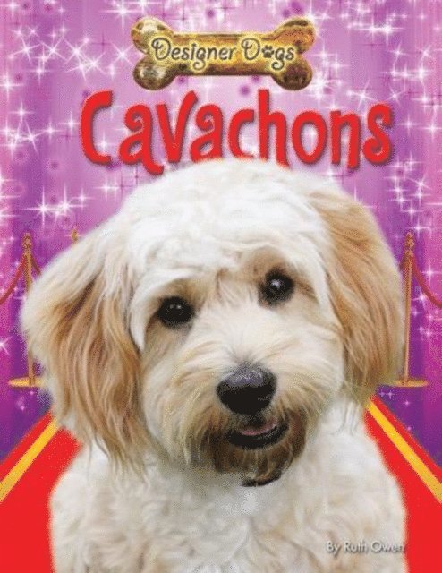 Ruth Owen - Cavachons, E-bok