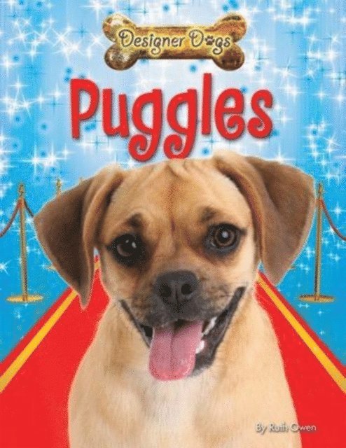 Ruth Owen - Puggles, E-bok
