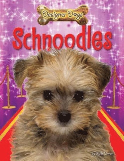 Ruth Owen - Schnoodles, E-bok