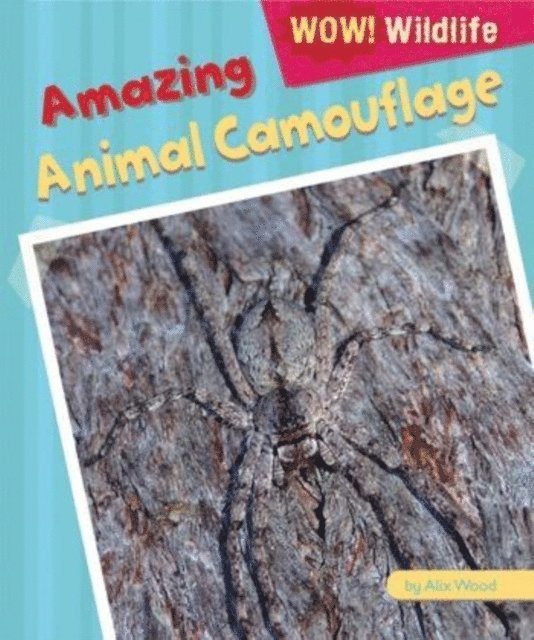Alix Wood - Amazing Animal Camouflage, E-bok