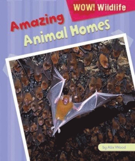 Alix Wood - Amazing Animal Homes, E-bok