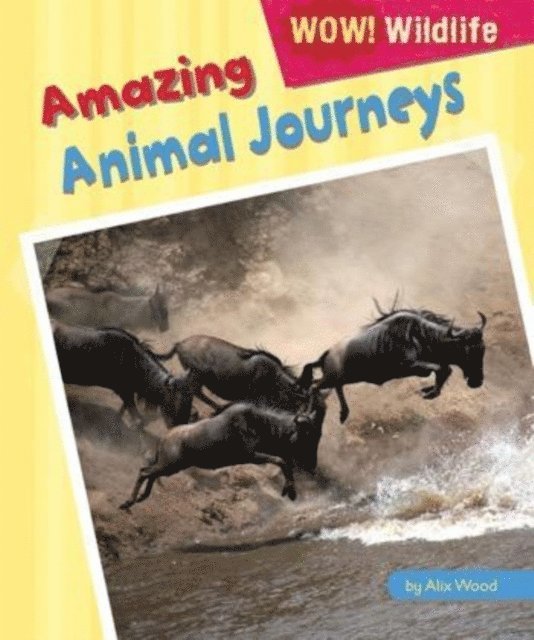 Alix Wood - Amazing Animal Journeys, E-bok
