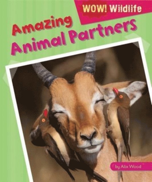 Alix Wood - Amazing Animal Partners, E-bok