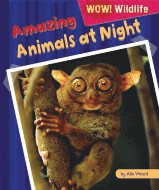 Alix Wood - Amazing Animals at Night, E-bok