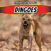 Julia J. Quinlan - Dingoes, Häftad
