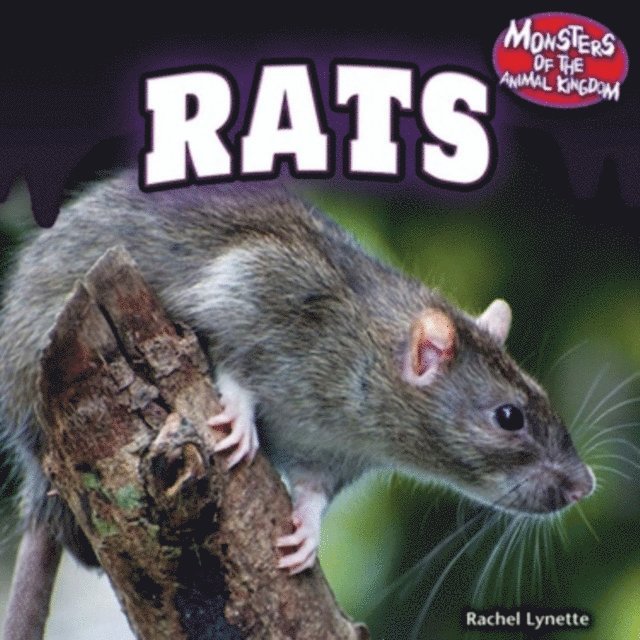 Rats