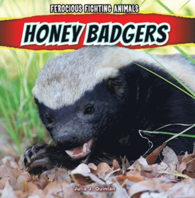 Julia J. Quinlan - Honey Badgers, E-bok