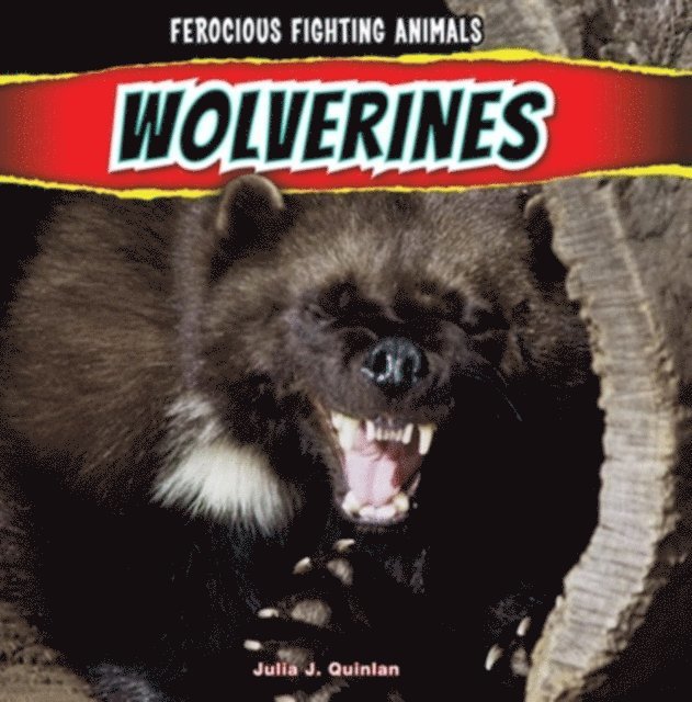 Julia J. Quinlan - Wolverines, E-bok