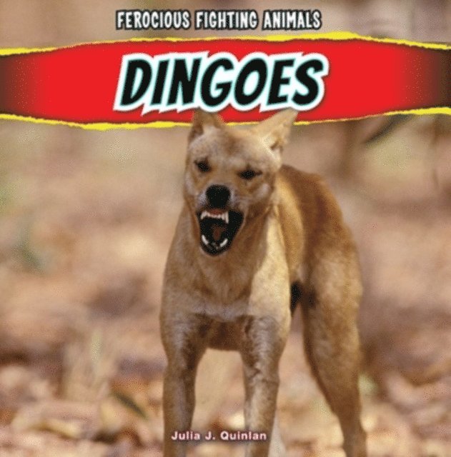 Julia J. Quinlan - Dingoes, E-bok