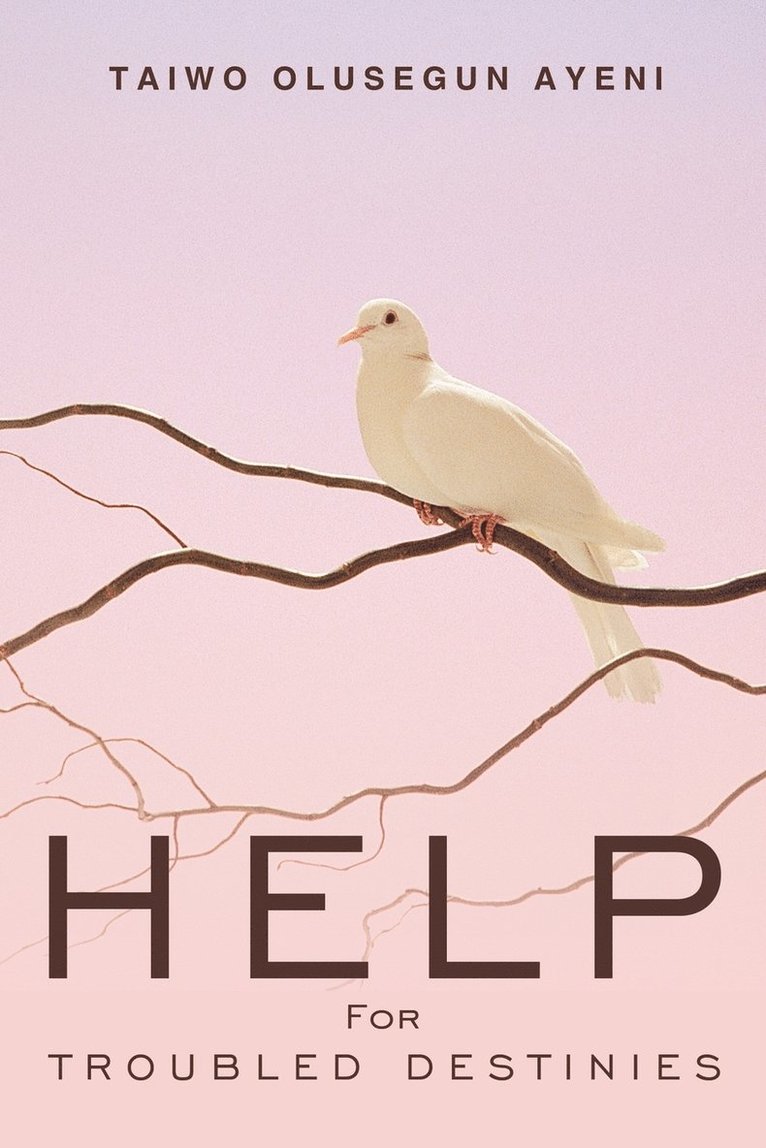 Taiwo Olusegun Ayeni - Help For Troubled Destinies, Häftad