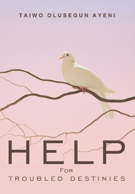 Taiwo Olusegun Ayeni - Help for Troubled Destinies, E-bok