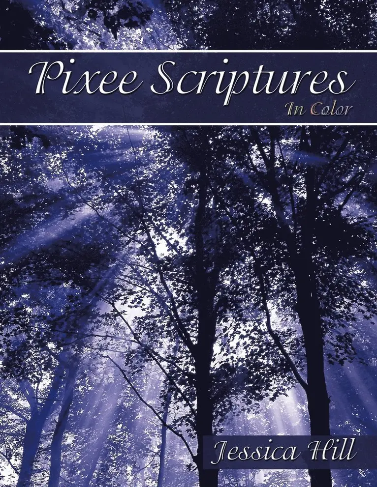 Jessica Hill - Pixee Scriptures, Häftad. Tillgänglighet: Lägg i varukorg
