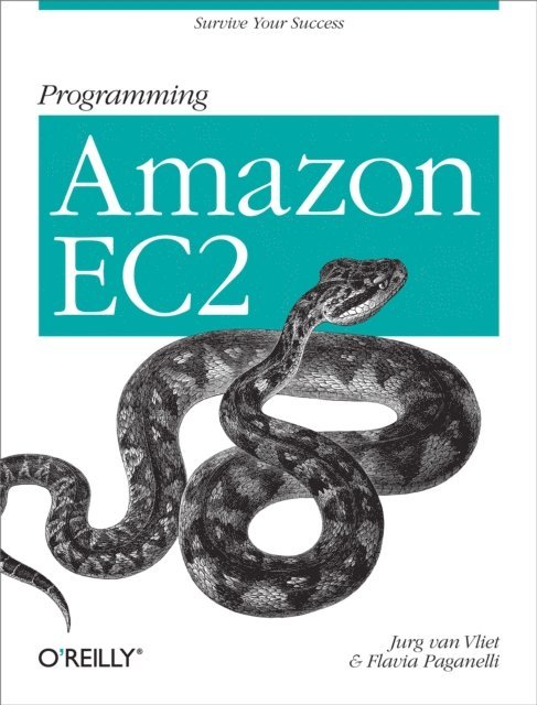 Flavia Paganelli, Jurg van Vliet - Programming Amazon EC2, E-bok