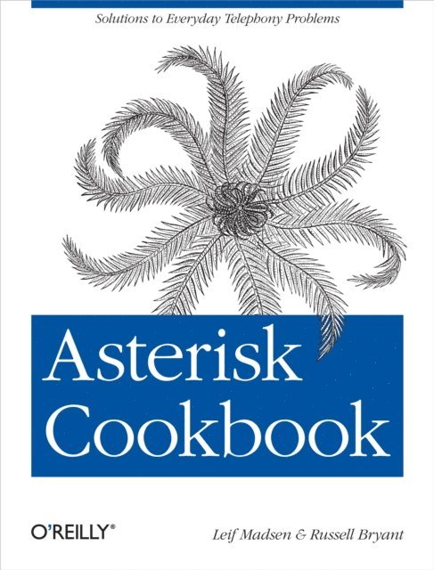 Russell Bryant, Leif Madsen - Asterisk Cookbook, E-bok