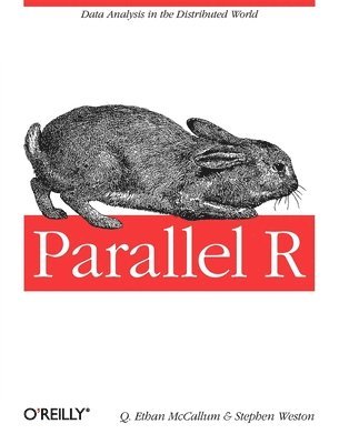 Q. Ethan Mccallum - Parallel R, Häftad